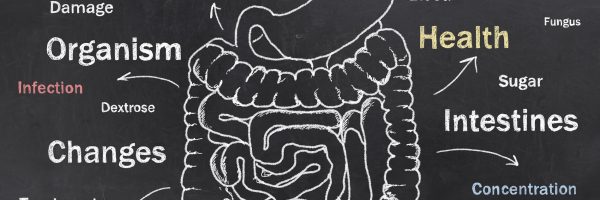 Candida Dysbiosis, Are You Suffering from It and What to Do About It