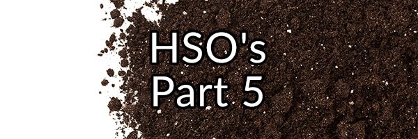 Did Our Ancestors Gorge Themselves on Dirt and Ingest HSO's Regularly?