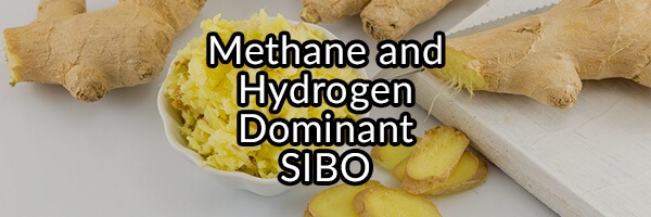 SIBO Hydrogen Hydrogen Sulfide Or Methane What Is The Difference 