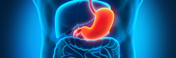 The GERD Enigma: What is the Root Cause of Acid Reflux?