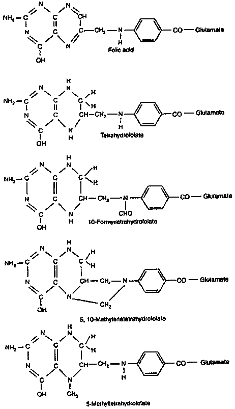 y2809e06