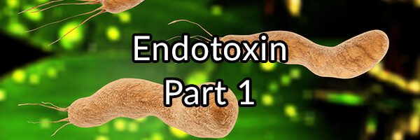 Endotoxin: Part 1 - How Opportunistic Bacteria Damage Your Heart