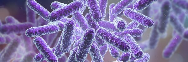 Klebsiella Causes Rheumatoid Arthritis, Ankylosing Spondylitis, What to Do