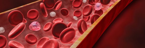 Upper Gut Dysbiosis, Anxiety, Brain Fog, Fatigue, Is Ammonia the Cause?