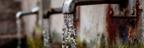 Junk Science: Can Your Water Bottle Make You Sick?