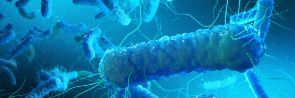Why I Do Not Recommend AOR Probiotic 3, a Review