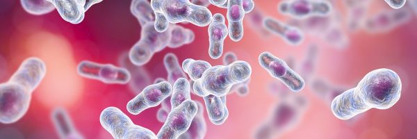 Clostridioides Difficile (C. difficile) Dysbiosis and How to Relieve It